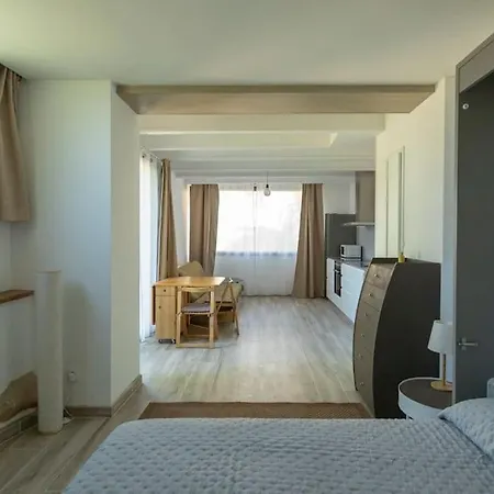 Appartement El Refugi De Cal Duc à Sant Joan de les Abadesses Extérieur photo
